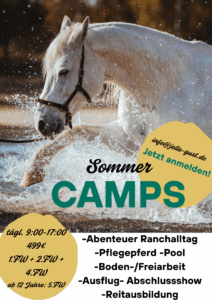 Flyer Kids-Camp