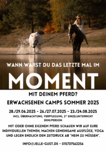 Flyer Erwachsenen-Camp
