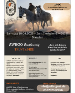 Veranstaltungsankündigung "AWEGO Academy: Trust & Fire"